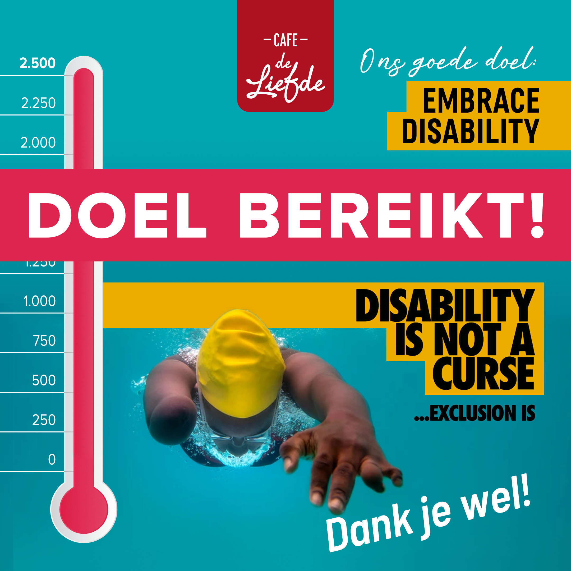 Goede doel bereikt: Embrace Disability